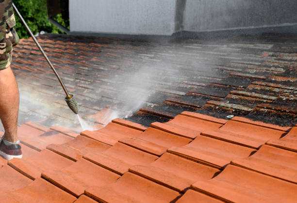 Best Roof Pressure Washing  in Bloomville, OH
