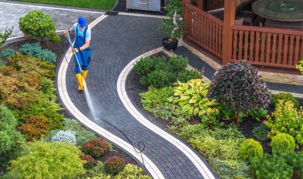 Best Pressure Washing Services Near Me  in Bloomville, OH